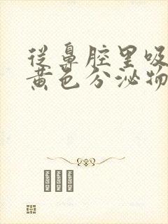 从鼻腔里吸出来黄色分泌物封面
