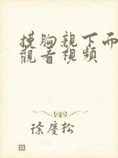 摸胸亲下面在线观看视频