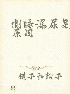 侧睡漏尿是什么原因