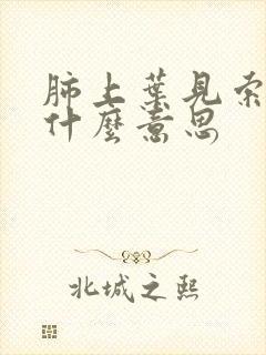 肺上叶见索条影什么意思