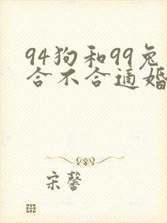 94狗和99兔合不合适婚姻封面