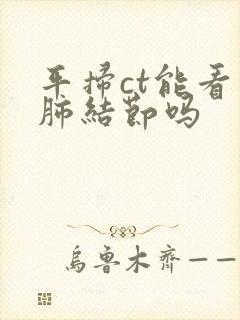 平扫ct能看出肺结节吗