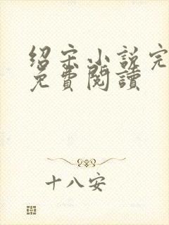 绍宋小说完整版免费阅读