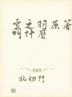 云之羽原著小说叫什么