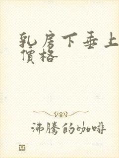 乳房下垂上提术价格