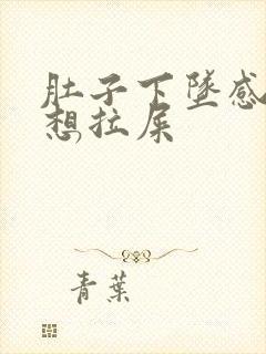 肚子下坠感觉总想拉屎