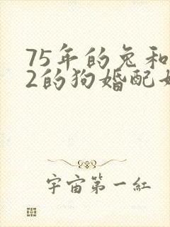 75年的兔和82的狗婚配好吗