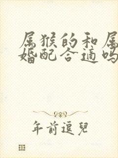 属猴的和属龙的婚配合适吗