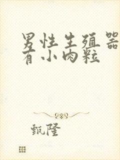 男性生殖器口旁有小肉粒