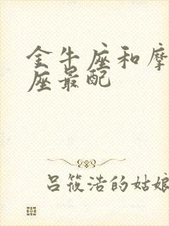 金牛座和摩羯星座最配