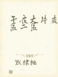 午夜大片爽爽一区二区