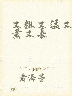 又粗又猛又爽又黄又长