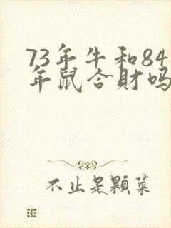 73年牛和84年鼠合财吗封面