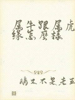 属牛跟属虎的姻缘怎么样