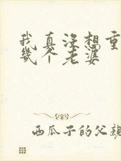 我真没想重生啊几个老婆