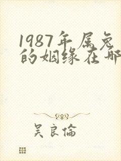 1987年属兔的姻缘在哪年封面