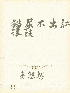 猫尿不出肚子里很鼓