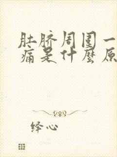 肚脐周围一阵阵痛是什么原因