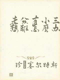 老公有小三我不想离怎么办封面