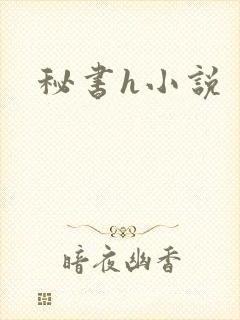 秘书h小说