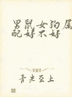 男鼠女狗属相婚配好不好