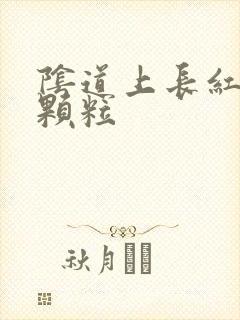 阴道上长红色小颗粒封面