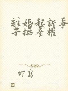 离婚起诉争夺孩子抚养权