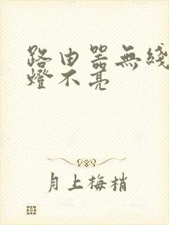 路由器无线网的灯不亮