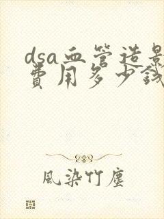 dsa血管造影费用多少钱封面