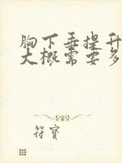 胸下垂提升手术大概需要多少钱