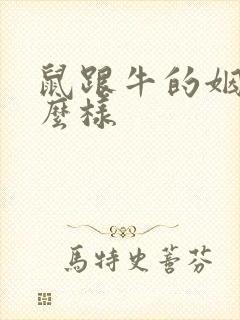 鼠跟牛的姻缘怎么样