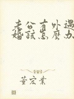 老公有外遇要离婚该怎么办