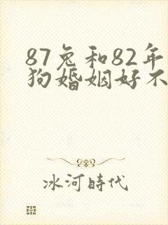 87兔和82年狗婚姻好不好