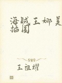 海贼王娜美被轮插图