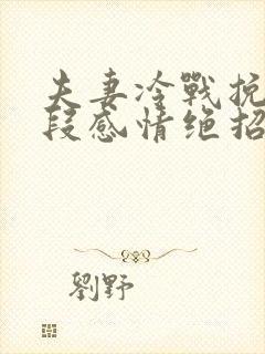 夫妻冷战挽回一段感情绝招