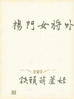 杨门女将外传