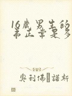 16岁男生的弟弟正常是多少米