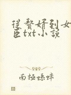 从赘婿到女帝宠臣txt小说封面