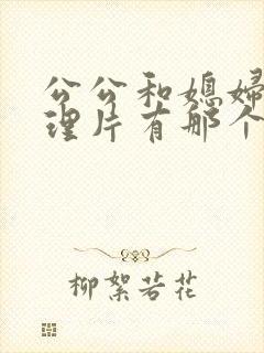 公公和媳妇儿伦理片有那个封面