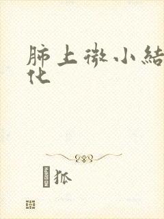 肺上微小结节钙化