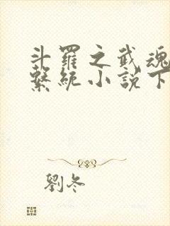 斗罗之武魂进化系统小说下载