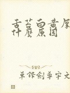 舌苔白黄厚嘴苦什么原因