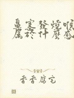 鼻塞发烧喉咙痛属于什么感冒