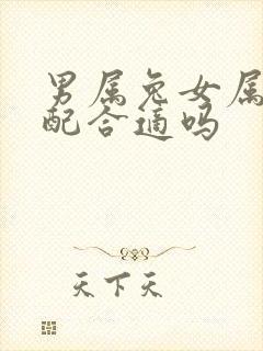 男属兔女属龙婚配合适吗