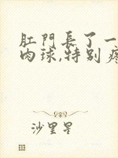 肛门长了一个硬肉球,特别疼