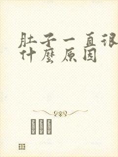 肚子一直很痛是什么原因