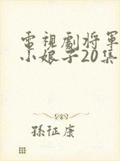 电视剧将军家的小娘子20集至40集