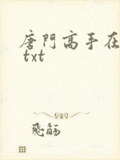 唐门高手在异世 txt