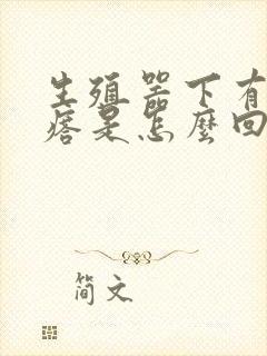 生殖器下有硬疙瘩是怎么回事