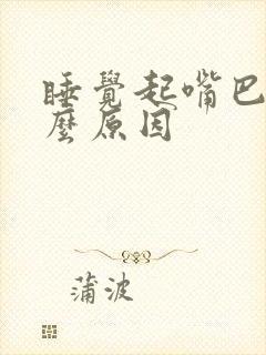 睡觉起嘴巴苦什么原因